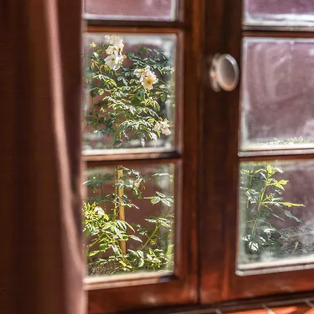 23 Guest house *